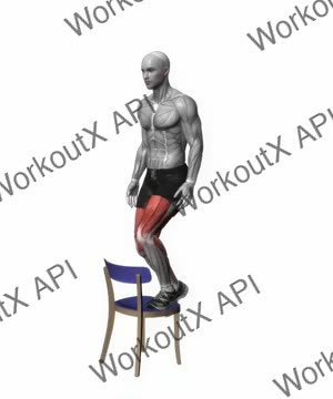 Step Up on Chair Bodyweight exercise demonstration
